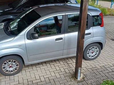 Silber Gebraucht 2016 Fiat Panda Easy Limousine | 5.500 € (Guter Preis)