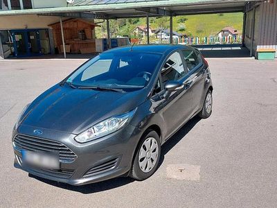 Usata Ford Fiesta Trend 100 CV (73 kW) 2015 Grigio Utilitaria