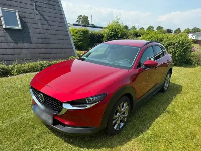 Gebraucht Mazda CX-30 Selection 150 PS (110 kW) 2020 Rot SUV