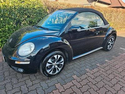 VW Beetle