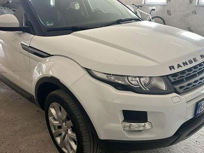 Gebraucht Land Rover Range Rover evoque Dynamic 150 PS (110 kW) 2014 Weiß SUV