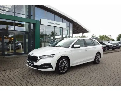 Gebraucht Skoda Octavia Ambition 150 PS (110 kW) 2023 Candyweiss Kombi