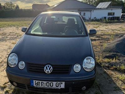 VW Polo