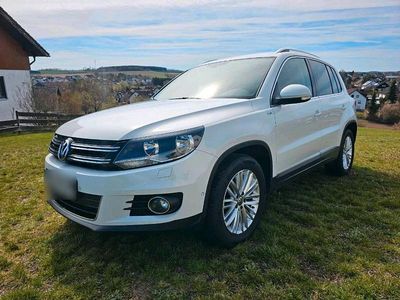 Gebraucht VW Tiguan 110 PS (80 kW) 2015 Weiß SUV