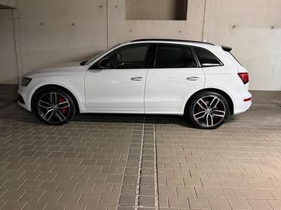 Gebraucht Audi SQ5 Sport 340 PS (250 kW) 2016 Weiß SUV