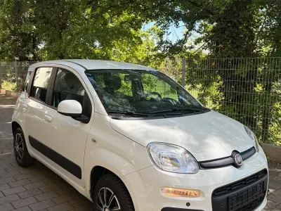 Usata Fiat Panda 86 CV (63 kW) 2016 Bianco Utilitaria