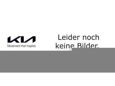 Gebraucht Kia Rio Platinum Edition 120 PS (88 kW) 2021 Kleinwagen