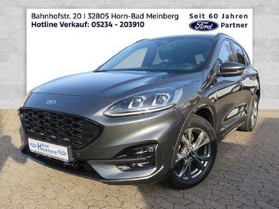 Gebraucht Ford Kuga ST-Line X 150 PS (110 kW) 2020 Grau SUV