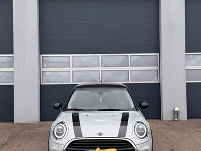 Gebraucht Mini Cooper 136 PS (100 kW) 2019 Grau Kleinwagen