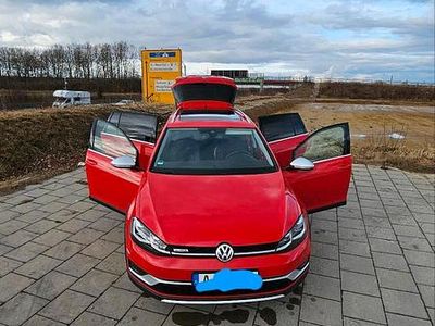 Gebraucht VW Golf Alltrack 179 PS (131 kW) 2019 Rot Kombi