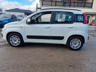 Gebraucht Fiat Panda Lounge 69 PS (50 kW) 2020 Weiß Kleinwagen