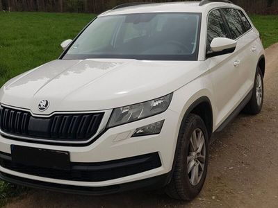 gebraucht Skoda Kodiaq 1.5 TSI ACT ACTIVE 7-Sitzer