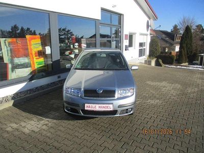 Blau Gebraucht 2006 Skoda Fabia Classic Kleinwagen | 2.950 € (Teuer)