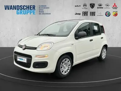 Nouvelle Fiat Panda Icon 70 ch (51 kW) 2025 Blanc Berline