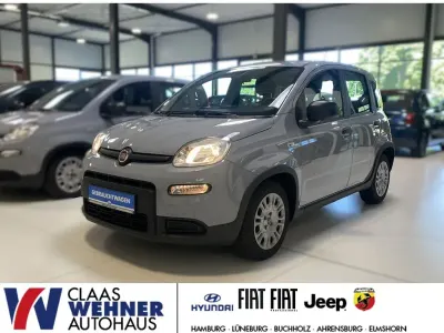 Gebraucht Fiat Panda 69 PS (50 kW) 2023 Grau Kleinwagen