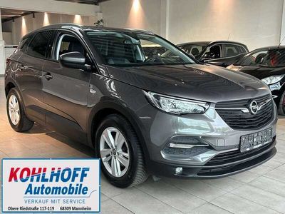 Gebraucht Opel Grandland X Edition 131 PS (96 kW) 2020 Mondstein grau/e:vulkan grau SUV
