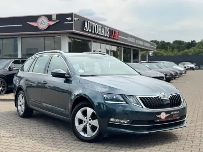 Gebraucht Skoda Octavia Ambiente 150 PS (110 kW) 2020 Grau Kombi