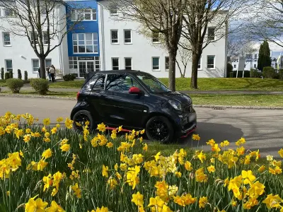 Używany Smart ForTwo Cabrio Brabus 90 KM (66 kW) 2016 Czarny Kabriolet