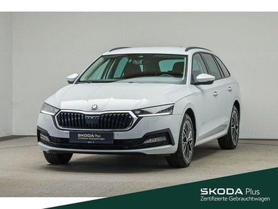 Gebraucht Skoda Octavia Ambition 150 PS (110 kW) 2022 Moonweiß perleffekt/moonweis Kombi
