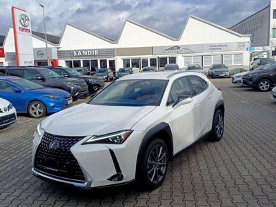 gebraucht Lexus UX 250h Luxury Line