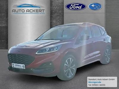 Gebraucht Ford Kuga ST-Line X 224 PS (164 kW) 2020 Rot SUV