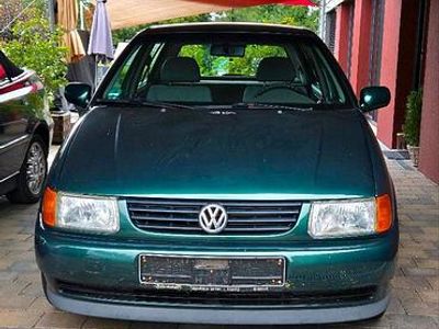 VW Polo