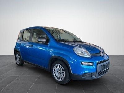 Gebraucht Fiat Panda Cross Cross 69 PS (50 kW) 2025 Kleinwagen