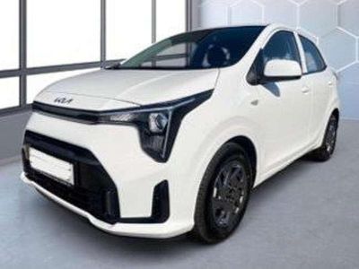 Neu Kia Picanto Vision 67 PS (49 kW) 2025 (ud)clear white Kleinwagen