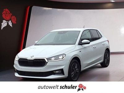 Moonweiß perleffekt Neu 2025 Skoda Fabia Tour Limousine | 24.989 € (Fairer Preis)