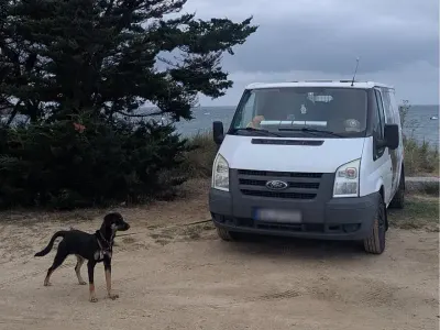 Gebraucht Ford Transit 2011 Weiß Van / Kleinbus