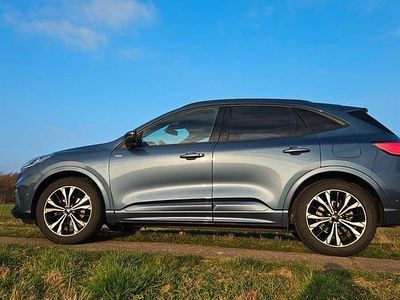 Second-hand Ford Kuga ST-Line X 150 CP (110 kW) 2023 Albastru SUV