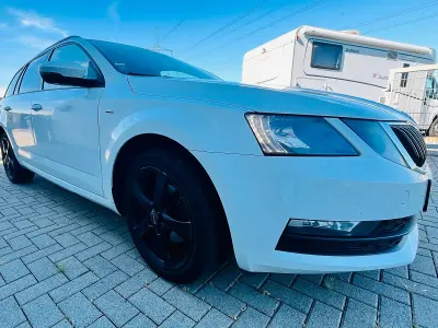 Gebraucht Skoda Octavia 150 PS (110 kW) 2018 Weiß Kombi