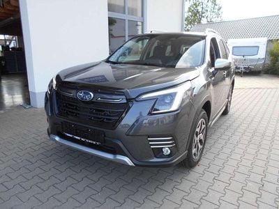 Gebraucht Subaru Forester Comfort 150 PS (110 kW) 2024 Bronze SUV