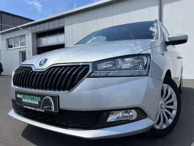 Gebraucht Skoda Fabia Ambition 95 PS (69 kW) 2022 Grau Kleinwagen