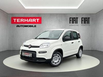 Weiss) (weiss Gebraucht 2024 Fiat Panda Kleinwagen | 14.987 € (Fairer Preis)