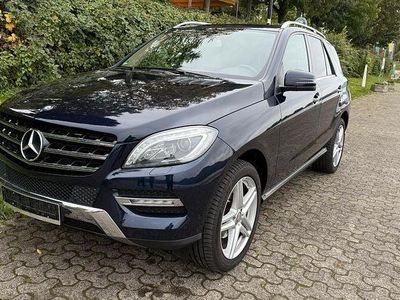 Blau Gebraucht 2012 Mercedes ML350 SUV | 19.900 €