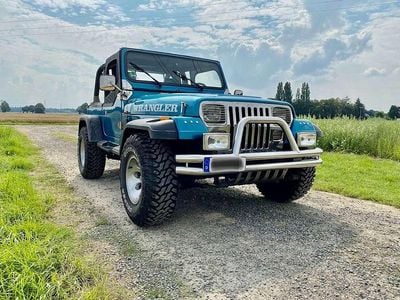 Gebraucht Jeep Wrangler 121 PS (88 kW) 1993 SUV
