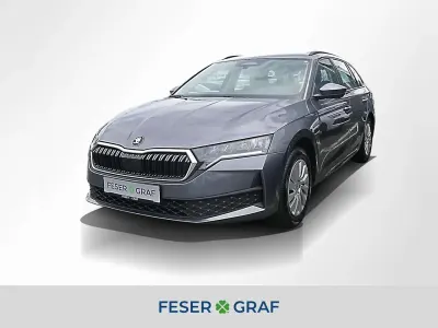 Gebraucht Skoda Octavia Essence 116 PS (85 kW) 2025 Graphitegrau metallic Kombi