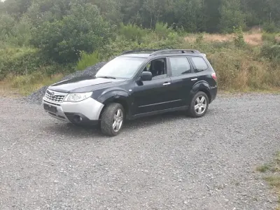 Gebraucht Subaru Forester