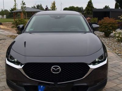 gebraucht Mazda CX-30 2.0 e-SKYACTIV-G M-Hybrid -