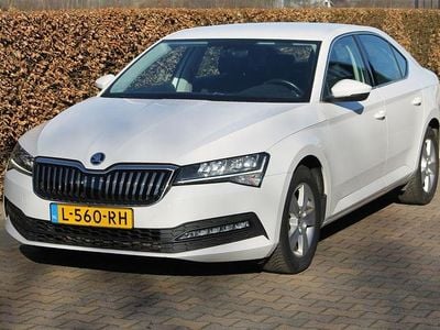 Gebraucht Skoda Superb Business Line 150 PS (110 kW) 2021 Weiß Limousine