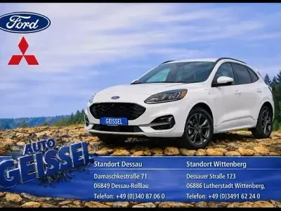 Usata Ford Kuga ST-Line X 224 CV (164 kW) 2022 Bianco SUV