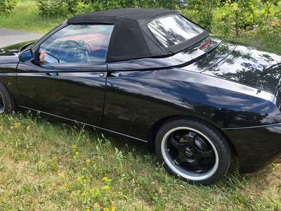 Alfa Romeo Spider