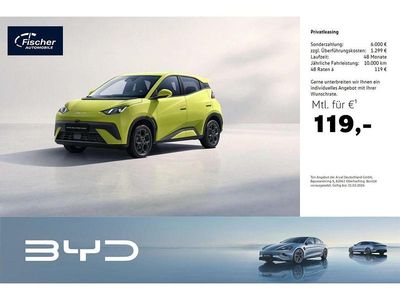 Neu BYD Dolphin Surf Comfort 114 kW (156 PS) 2026 Grün Kleinwagen