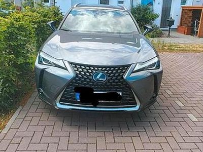 Lexus UX 250h