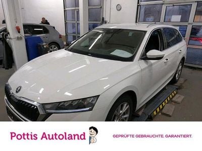 Gebraucht Skoda Octavia Style 116 PS (85 kW) 2023 Candyweiss Kombi