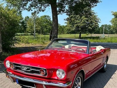 gebraucht Ford Mustang Cabrio J.1966 V8 289 Sammlerzustand