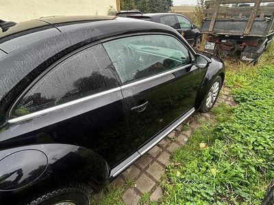 VW Beetle