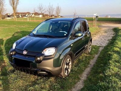 Gebraucht Fiat Panda Cross Cross 71 PS (52 kW) 2025 Grün Kleinwagen