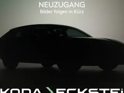 Gebraucht Skoda Kamiq Clever 150 PS (110 kW) 2021 Grau SUV